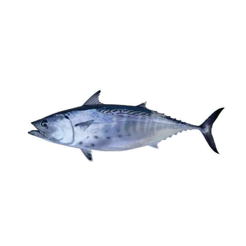 Atum Nacional - Inteiro 1kg