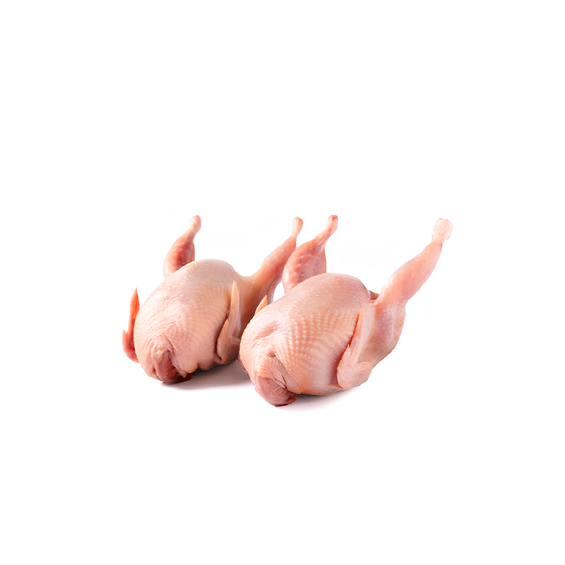 Codornizes - Meia dúzia
