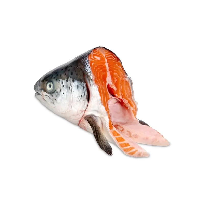 Cabeça de Salmão